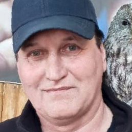 �������, ������, 55 ���