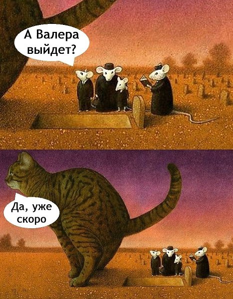 Не хотела это постить, но это, пожалуй, самый чёрный юмор про животных.
