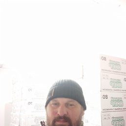 ������� ������, ������, 41 ���