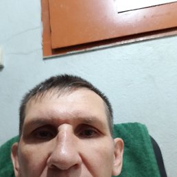 , 56, 