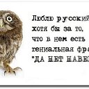 ���� �����, ���� - ��������� 7 �������� 2026 � ������ ������ ��������