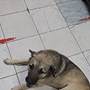 ���� �����, ���������, 38 ��� - ��������� 29 ������� 2023 � ������ ���� ����������