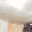 ���� ���������, ��������, 43 ���� - ��������� 16 ������ 2023 � ������ ���� ����������