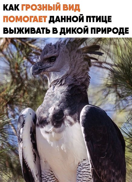 ����� ���� ������ ����������� ����� ������� ��� �������� �������. ���������������� ������ ��������� ...
