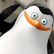 �����, 28 ���, ������