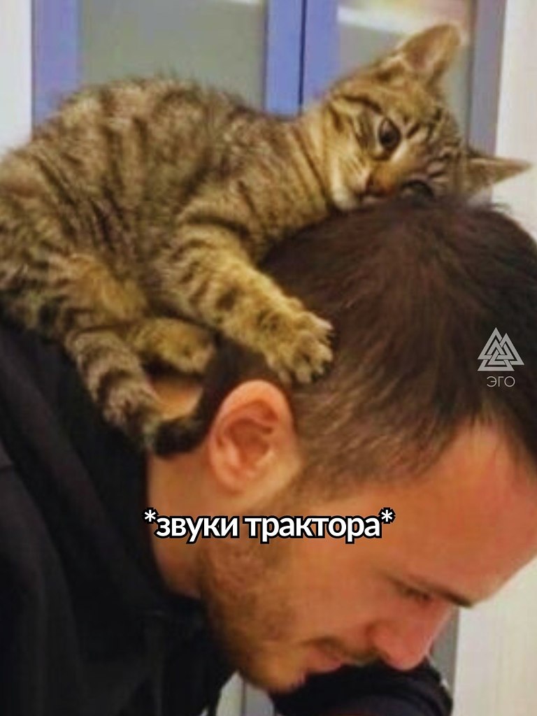  ,     - 2