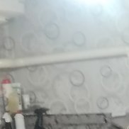 ���������, 39 ���, ����