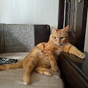 ���� ���������, ������, 40 ��� - ��������� 8 ������� 2025 � ������ ������ ��������