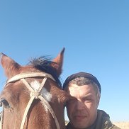 , 41 , 