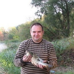 �����, ������, 49 ���