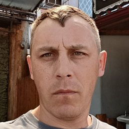 ������, ������������, 41 ���