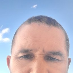 , 49, -
