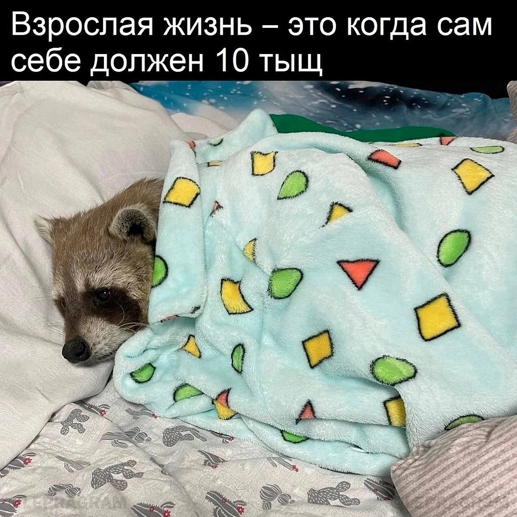   - 14  2025  21:35