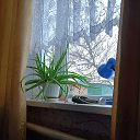 ���� ���, ���������, 56 ��� - ��������� 21 ������ 2024 � ������ ���� ����������