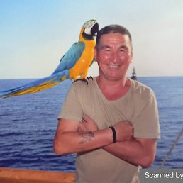 �������, ������-��-����, 56 ���