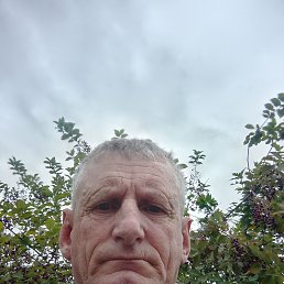  , 49, 