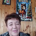 ���� ��������, ������, 61 ��� - ��������� 13 ������� 2026 � ������ ���� ����������