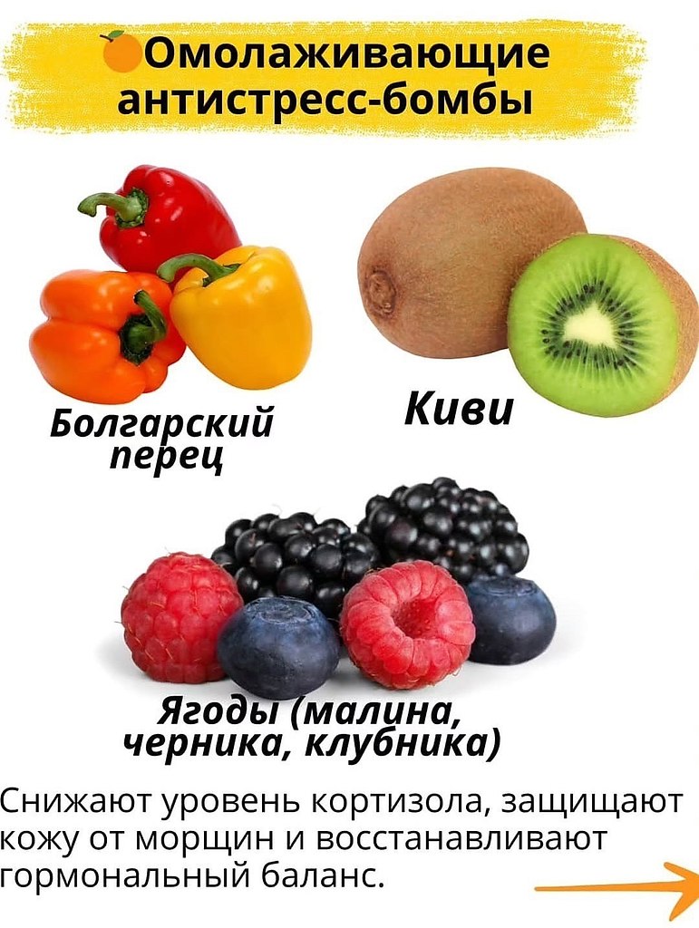       40.   :      ... - 2