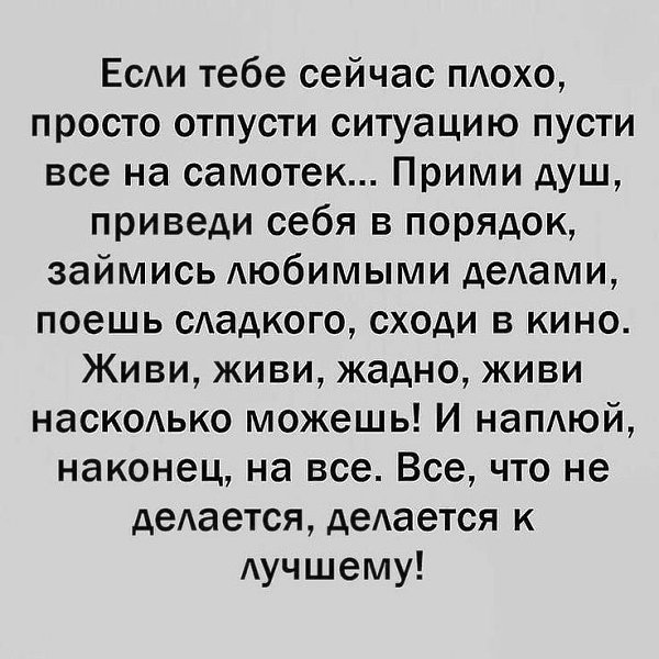   . - 8  2025  13:38