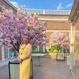 ������, ���������, 55 ���