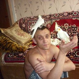 , 42, --