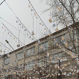 �����, �����������, 68 ���