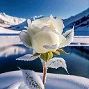 ���� �����, ������ - ��������� 4 ����� 2024 � ������ ������ ��������