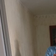 , 41 , 