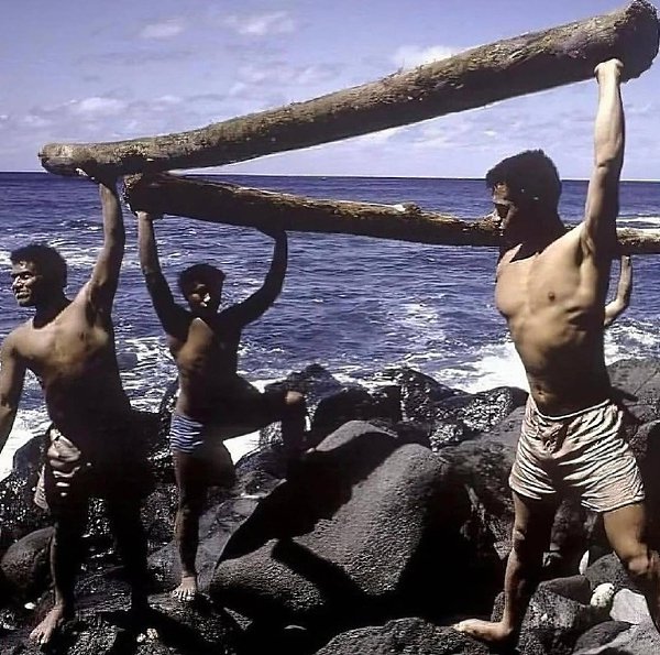  1966            .     ... - 6