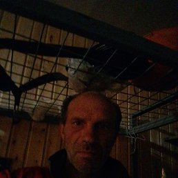  , 48 , 