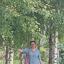 ���� ����, ������, 67 ��� - ��������� 14 ���� 2024 � ������ ���� ����������