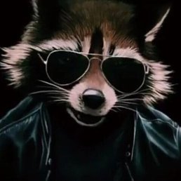 Asabi, ������-����, 23 ����