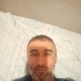 ���� �����, ������, 45 ��� - ��������� 29 ������� 2023