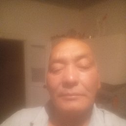 , 53, 