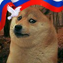 ���� ����������, �����, 61 ��� - ��������� 5 �������� 2025