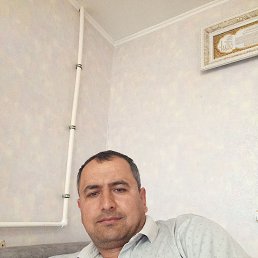 , 41, 