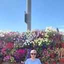 ���� �������, ���������, 67 ��� - ��������� 26 ����� 2026 � ������ ���� ����������