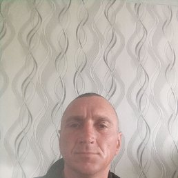 , 41, 