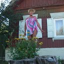 ���� 2023 ���