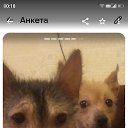 ���� ����, ������-��-����, 58 ��� - ��������� 18 ������ 2026 � ������ ���� ����������