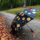 ���� ����, ������, 50 ��� - ��������� 29 ����� 2025 � ������ ���� ����������