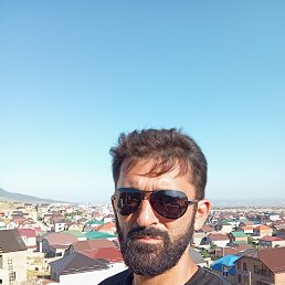 , 41, 