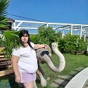 ���� �����, ������ - ��������� 29 ����� 2026 � ������ ���� ����������