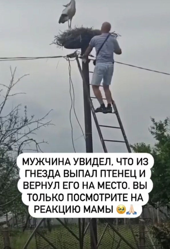   .    ,     .   ... - 2