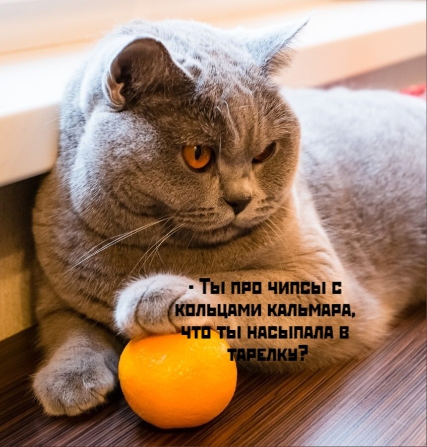 ��� ���� � ����� �� �� - 20 ����� 2026 � 13:00 - 3