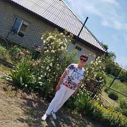 , 61, 