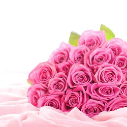 Natalia, �����������