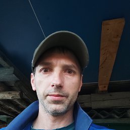 , 29, 