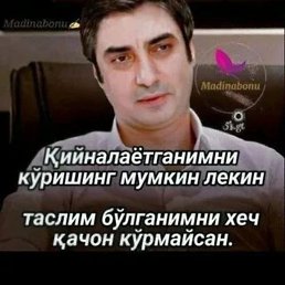 , 41 , 