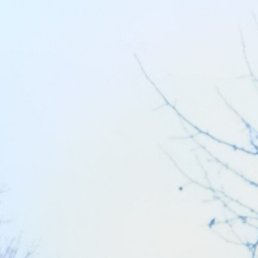 �����, ����, 35 ���